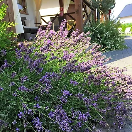 Lodge Zacisze